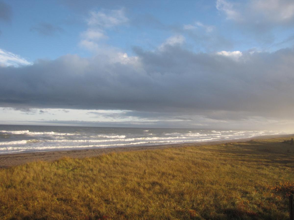 Tracadie Le Phare Des Dunes المظهر الخارجي الصورة